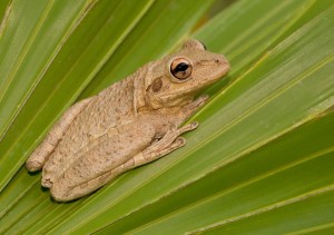 145025511.p4UGDjTO._MG_7618