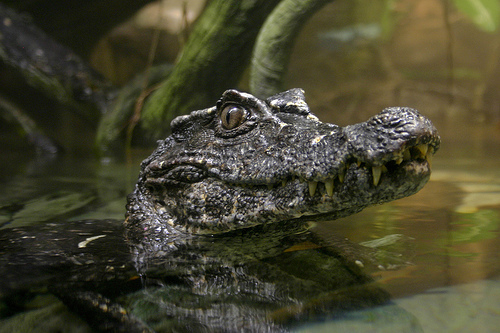 1952658428_3e98243f7f