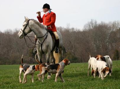 6a00d834515ae969e201901eba5ac7970b