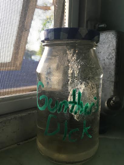 842ac7b0-b022-4161-83fe-3cdcb75f8d9a