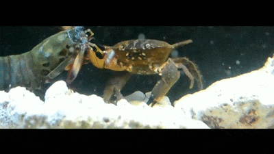 tumblr_nbf9p2e9rf1tj0h4po4_r1_400