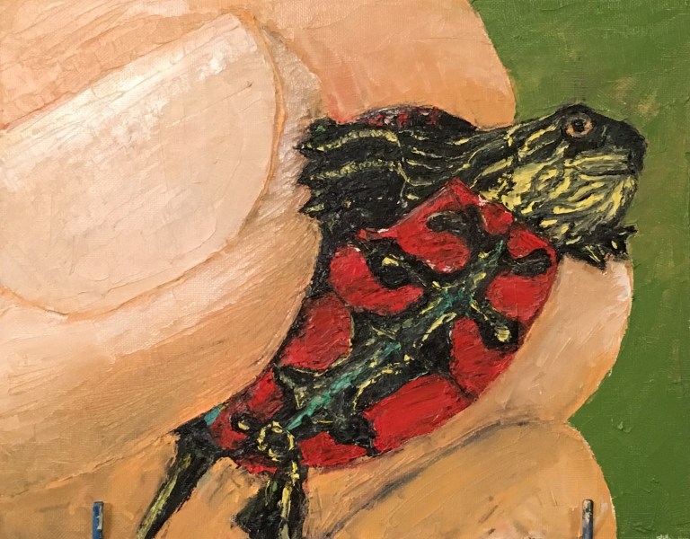 PaintedTurtle_Meyer