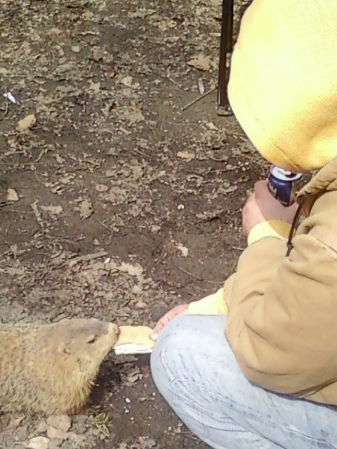 200714_10150209549810289_1089993_n