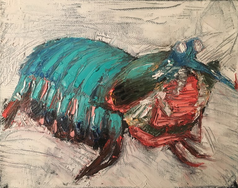 MantisShrimpMeyer