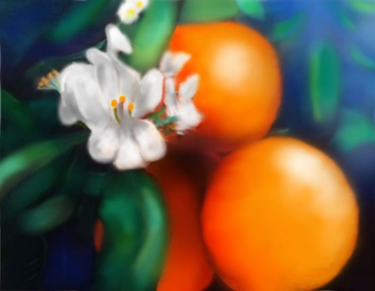 orangeblossom-meyer copy 2