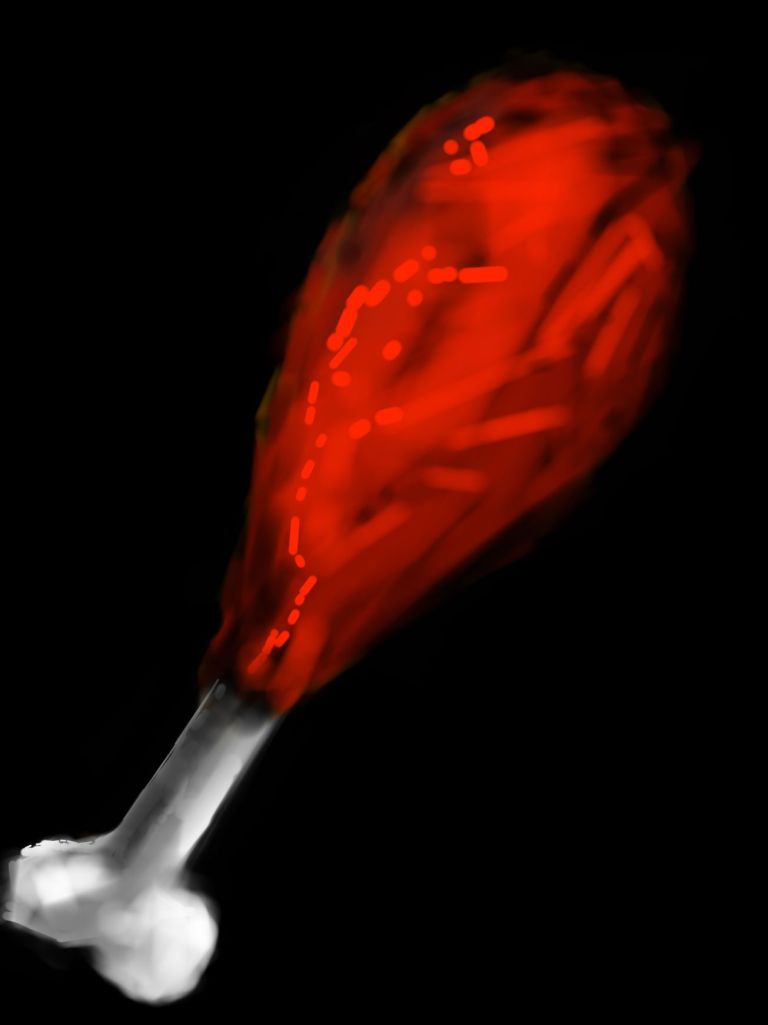 flag_of_taliban_original-svg-copy-14