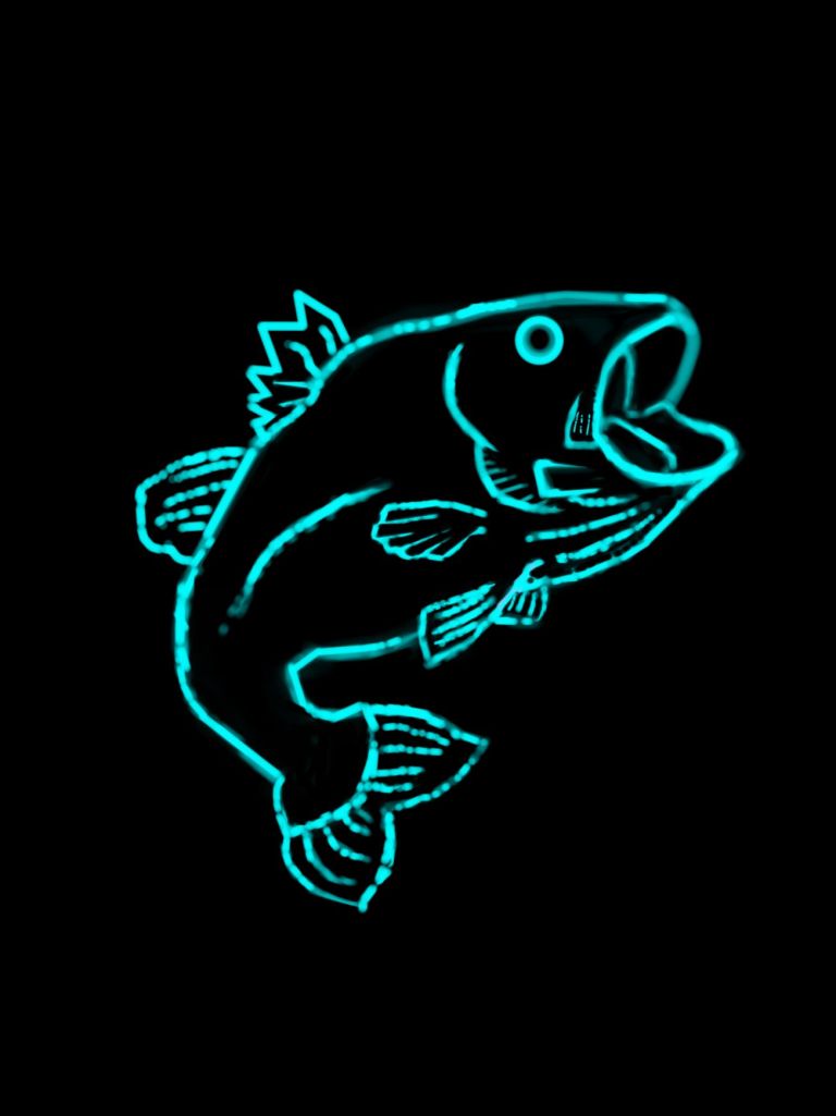 flag_of_taliban_original-svg-copy-15