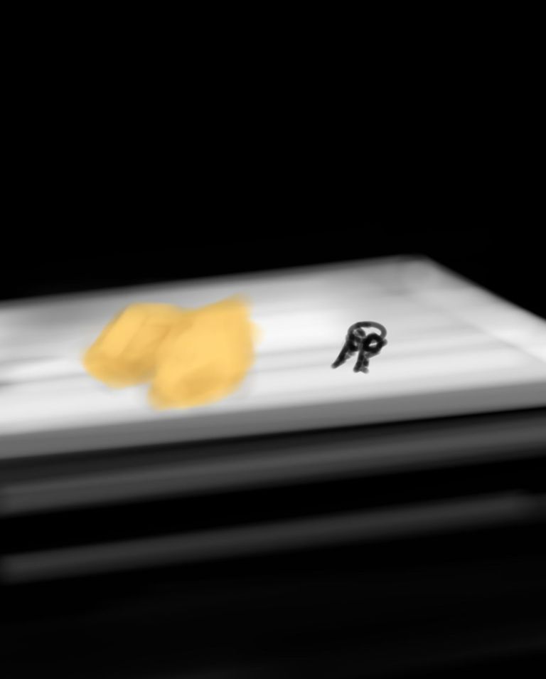 flag_of_taliban_original-svg-copy-57