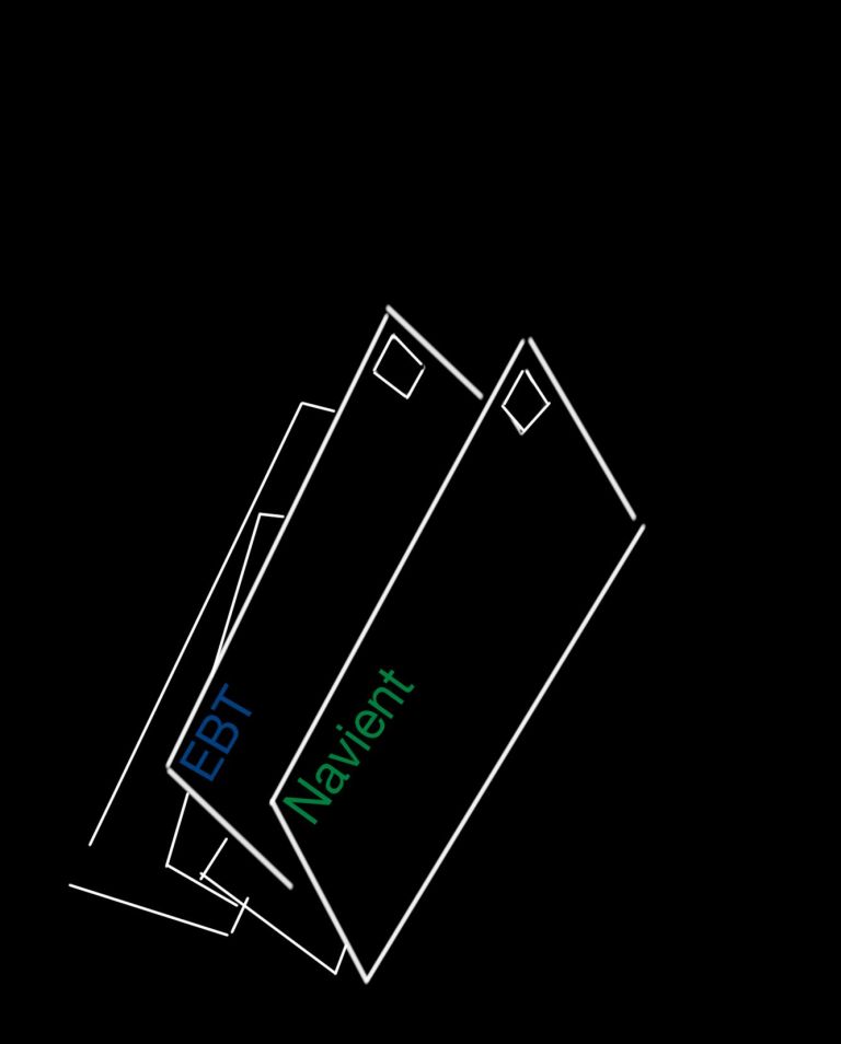 flag_of_taliban_original-svg-copy-60