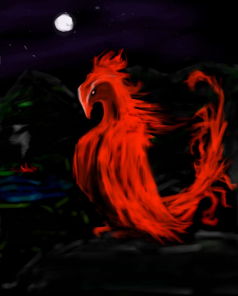 flag_of_taliban_original-svg-copy-65