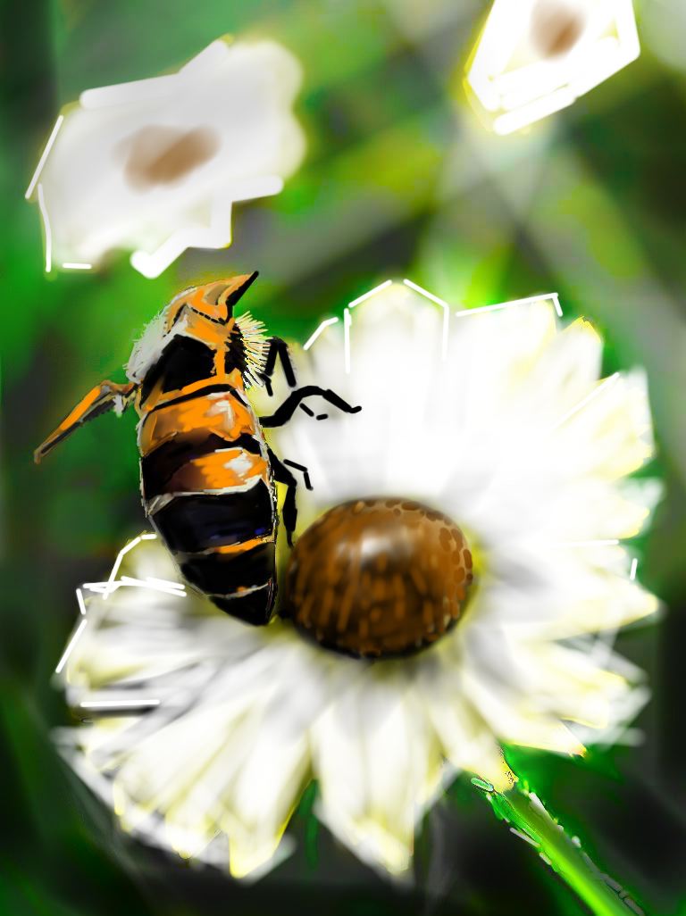 flag_of_taliban_original-svg-copy-69-copy-32