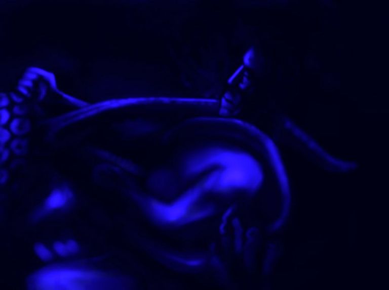 flag_of_taliban_original-svg-copy-69-copy-44