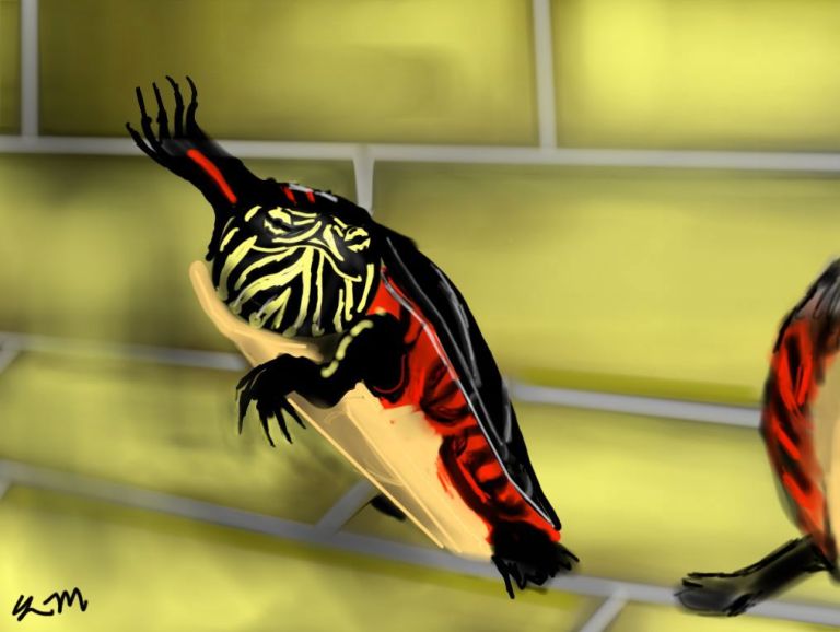 flag_of_taliban_original-svg-copy-21 copy 47