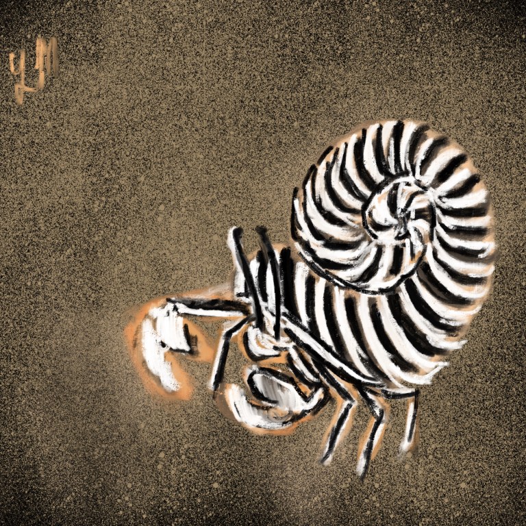 Untitled_Artwork (16) copy