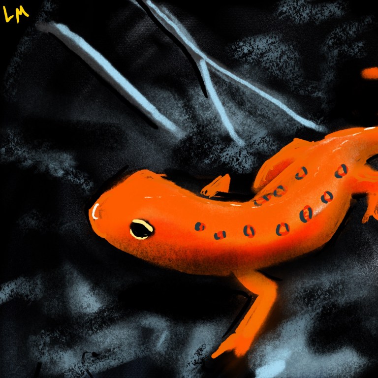 Untitled_Artwork 10 copy 2