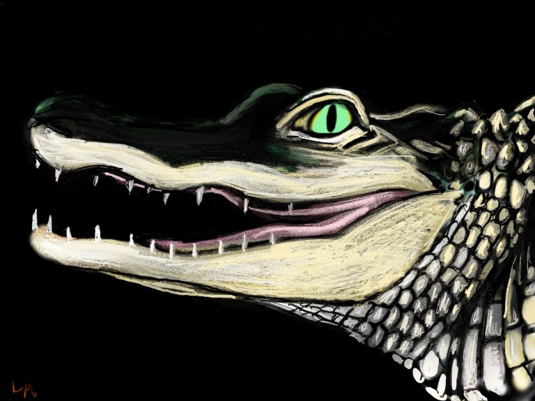 Untitled_Artwork 9 copy