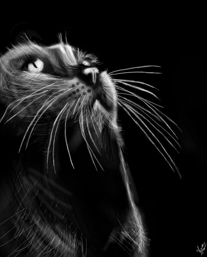 flag_of_taliban_original-svg-copy-69 copy 63