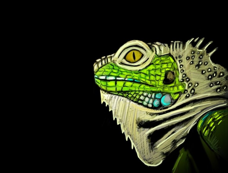 Flagofthetalliban - Copy (3)_bak_bakuur (1) copy