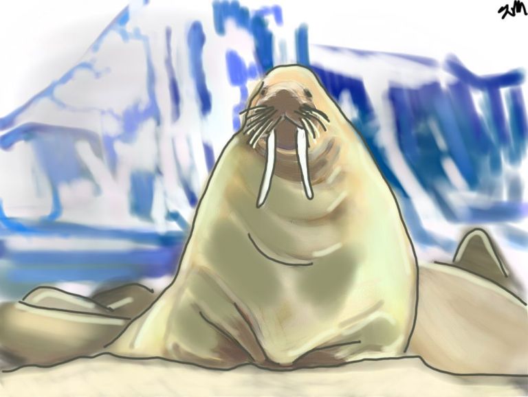 flag_of_taliban_original-svg-copy-21 copy 44