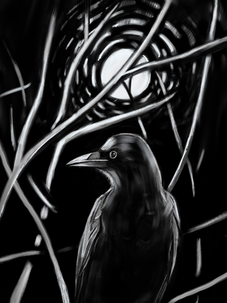 untitled_artwork-26-copy