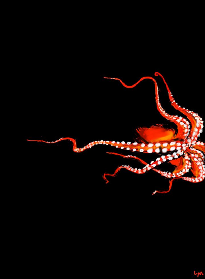 flag_of_taliban_original-svg-copy-69-copy-43